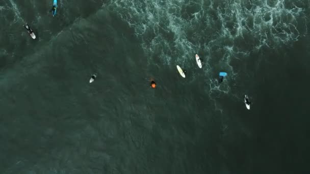 Concn City Deki Boca Sahilindeki Bazı Sörfçülerin Hava Görüntüsü Dolly — Stok video