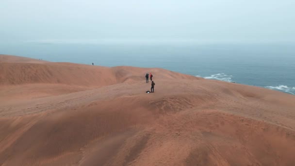 Aerial Epic Shot Some People Getting Smaller Smaller Standing Dune — ストック動画