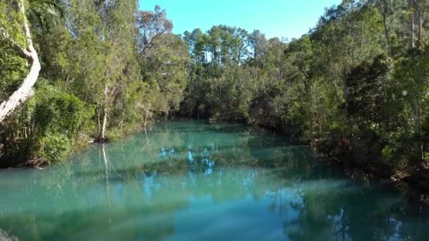 Tranquil Calm Stoney Creek Byfield National Park Reverse Dolly Shot — Video