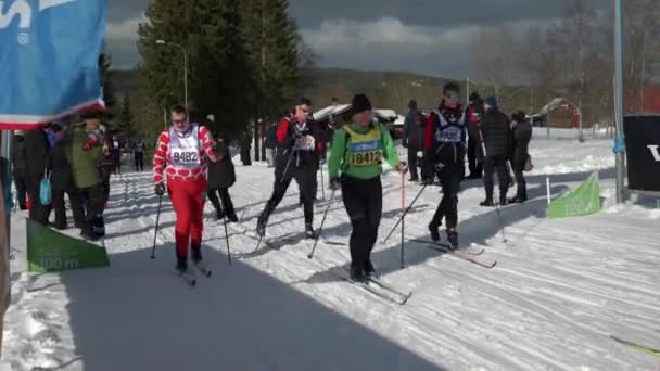 Κουρασμένη Cross Country Skier Στο Evertsberg Κατά Διάρκεια Vasaloppet 100 — Αρχείο Βίντεο