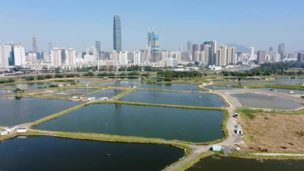 Shenzhen Skyline Mainland China Seen Hong Kong Lok Chau Village — стоковое видео