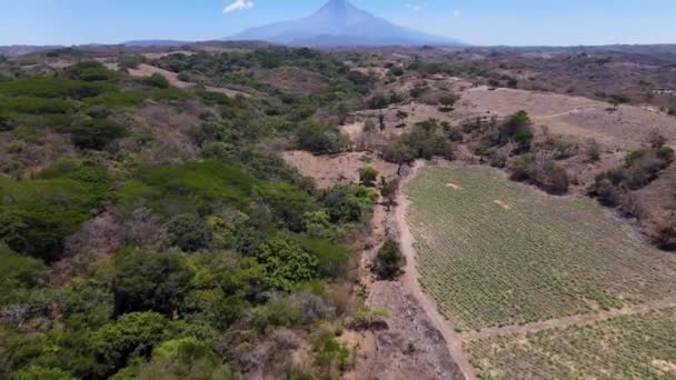 Vzduch Sopka Stoupající Nad Chiapas Deštný Prales Mexiku Krajina — Stock video