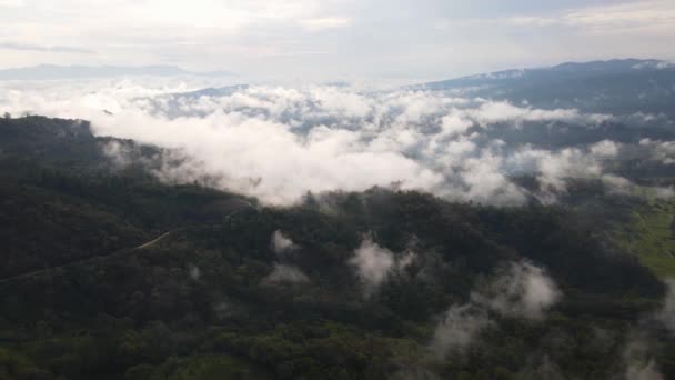 Antenne Lacandon Regenwald Mexiko High Drohne Abgeschossen — Stockvideo