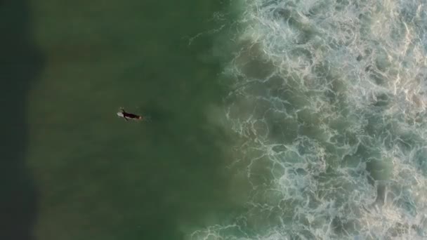 Surfers Having Fun Llandudno Beach Κέιπ Τάουν Νότια Αφρική Εναέρια — Αρχείο Βίντεο