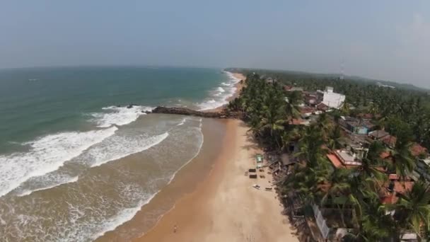 Panoramautsikt Över Mirissa Stranden Sri Lanka Flyg Framåt — Stockvideo