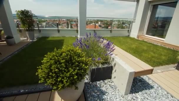 Urban Building Green Roof Plants — Stok video