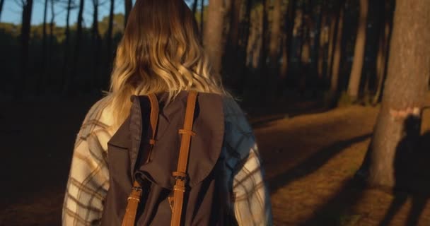 バックパック付きの日没で森の中を歩くスタイリッシュなクールな女性のハイキング リアビュー — ストック動画