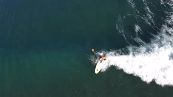 Drohnenschuss Von Oben Eines Sup Ers Auf Einer Welle — Stockvideo