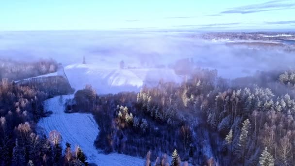 冬の夜明けに霧が立ち込める森の中で 雪に覆われた木々の上を空中で進む — ストック動画