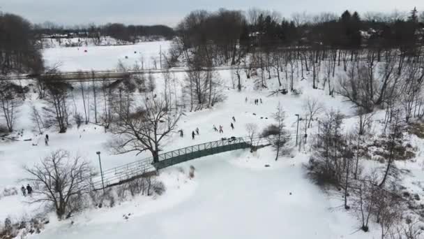 安大略理查森溪带道冰上曲棍球之旅 — 图库视频影像