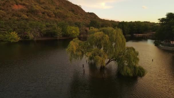 Aerial Orbiting Tree Immersed Lake Waters Sunset Background Cordoba Argentina — kuvapankkivideo