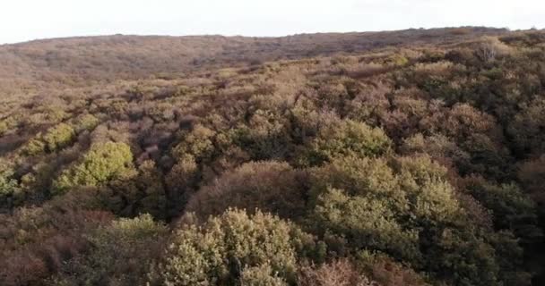 空中前方はクァントックヒルズ北デヴォン イングランドの森林地帯の木々をスキミング撮影 — ストック動画