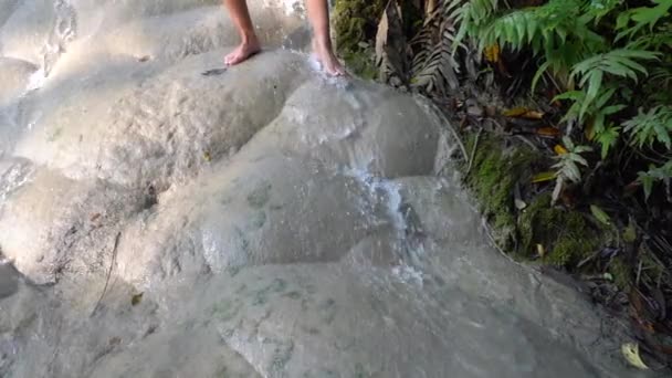 Woman Bare Feet Walking Bua Tong Cachoeiras Pegajosas Chiang Mai — Vídeo de Stock