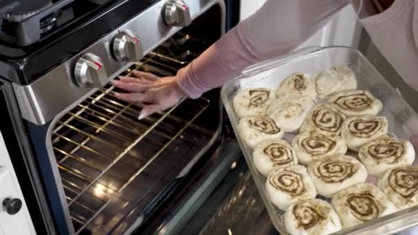 Placing Pan Raw Cinnamon Rolls Warming Oven Raise Bake — Vídeos de Stock