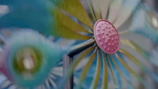 Close Spinning Metal Peacock Pinwheel — Videoclip de stoc