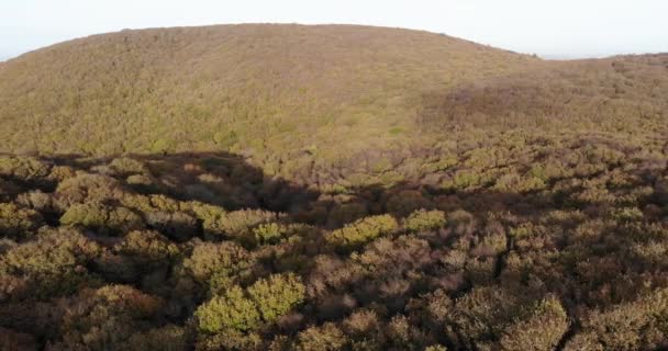 Aerial Panning Left Shot Woodland Forest Dead Woman Ditch Quantock — Stockvideo