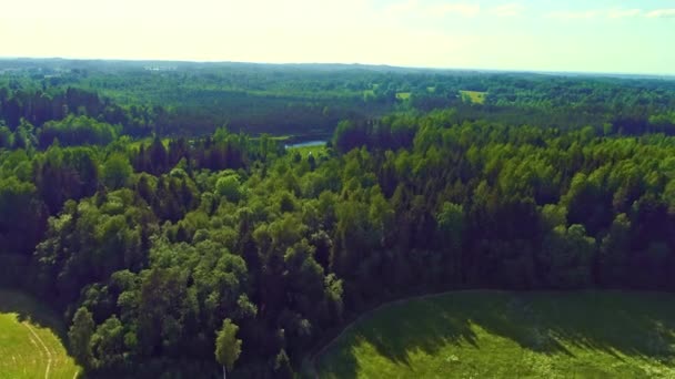 Drone Aereo Sparato Piccolo Lago Circondato Una Fitta Pineta Durante — Video Stock