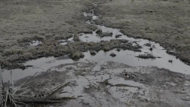 Drone Flight Flooded Farmland Fields — Wideo stockowe