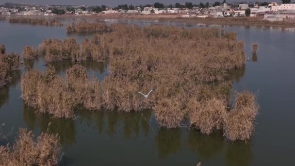 Kallar Kahar Turistická Oblast Která Nachází Asi Kilometrů Města Chakwal — Stock video