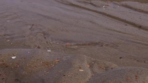 Água Flui Volta Para Mar Praia Areia Ostende Quando Maré — Vídeo de Stock