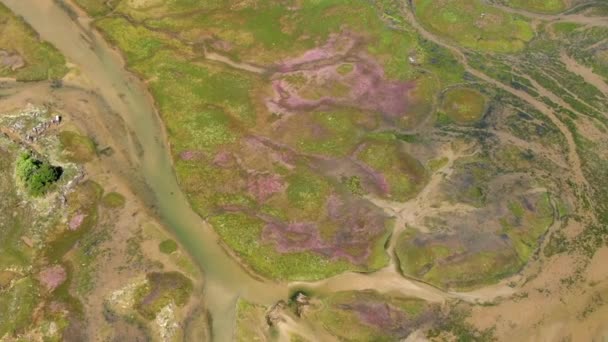 Vista Aérea Drones Pantano Humedal Intercambia Paisaje Adelante Día — Vídeos de Stock