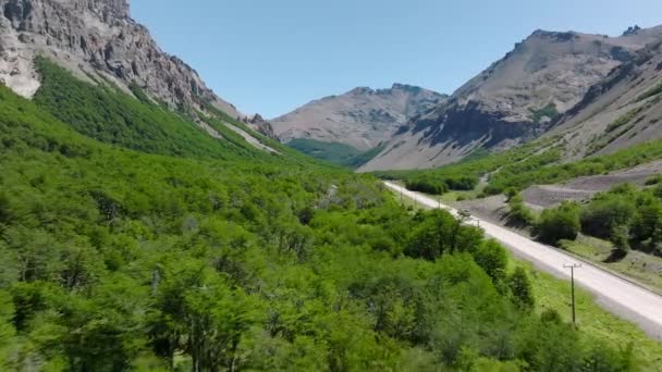 Aerial Flying Trees Valley Floor Road Car Travelling Chile Dolly — Stok video