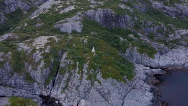 Fliegen Der Küste Von Nesland Über Einen Hügel Meer — Stockvideo