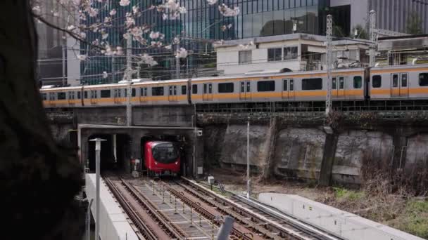 Train Lines Crossing Tokyo Spring Japan City Scene — Stockvideo