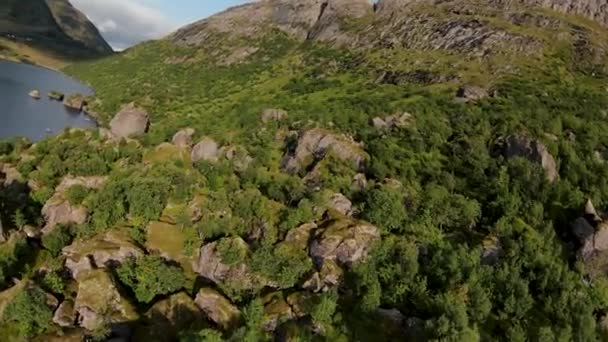 Πετώντας Μια Λίμνη Γύρω Από Ένα Μεγάλο Βράχο Αργή Κίνηση — Αρχείο Βίντεο