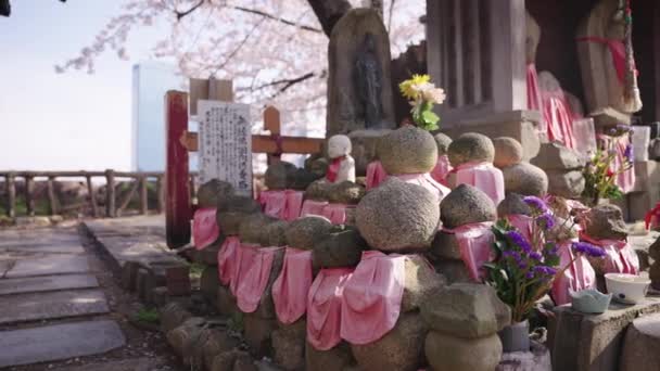 Spring Osaka Castle Jizo Statues Small Shrine Sakura Trees — Stockvideo