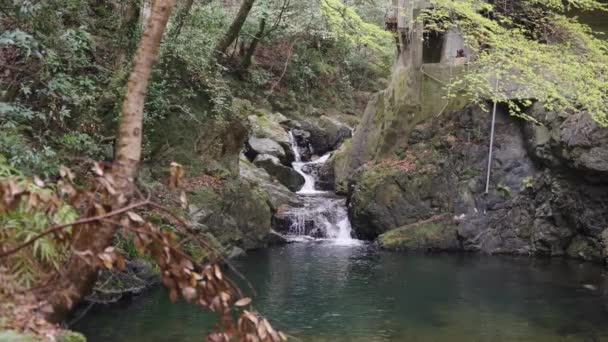 Minoo Park Mountain Stream Early Spring Osaka Japan — Vídeo de stock