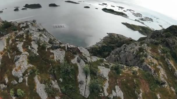 Cliffdiving Henningsvaer Festvagtind Con Vistas Océano Henningsvaer Cámara Lenta — Vídeos de Stock