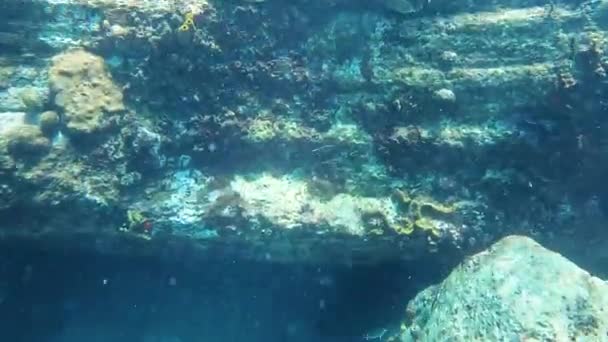 Underwater Footage Coral Head Camera Comes Surface Sea — Video