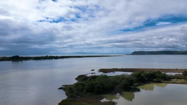 Aerial Close Ασυνήθιστων Χερσαίων Νησιών Βάλτο Μέσα Στο Λιμάνι Ohiwa — Αρχείο Βίντεο