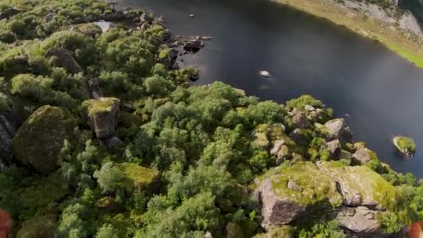 Flyger Över Några Stenar Vid Sjö Norge Lofoten Och Fånga — Stockvideo