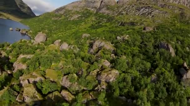 Πετώντας Μια Λίμνη Γύρω Από Ένα Μεγάλο Βράχο — Αρχείο Βίντεο