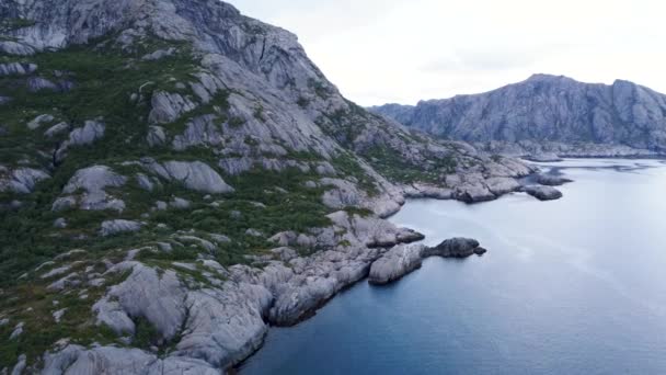 Vliegen Aan Kust Van Nesland Met Uitzicht Oceaan Bergen — Stockvideo