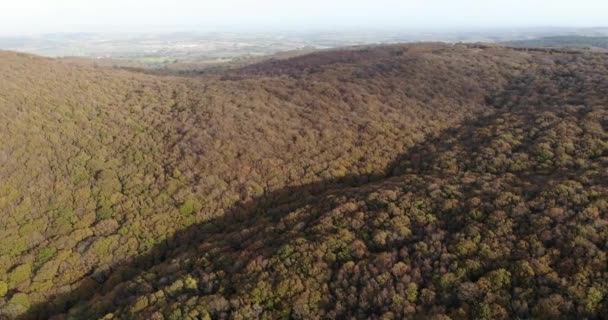 Aerial Forward Shot Woodland Hills Quantocks South West England — Video