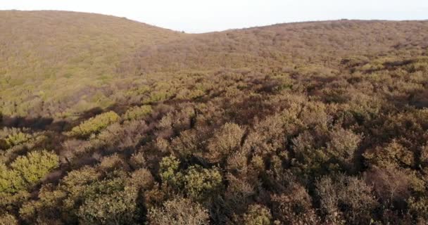 Panning Udara Kiri Tembakan Woodland Hills Devon Utara Inggris Pada — Stok Video