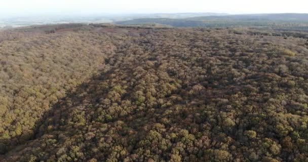 Aerial Panning Right Shot Forest North Devon England Sunny Day — Video