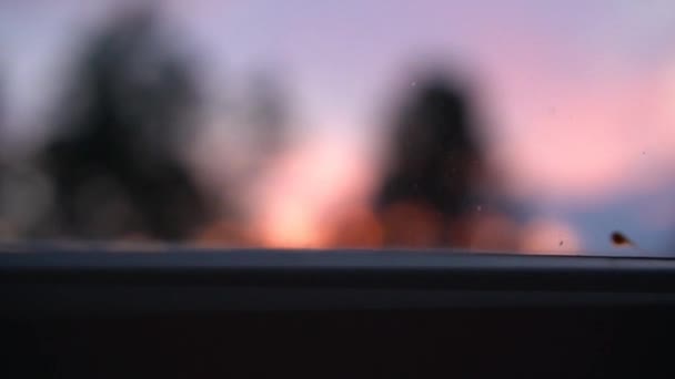 Evening Shot Tree Silhouettes Front Pink Sunset Sky Seen Window — Vídeos de Stock