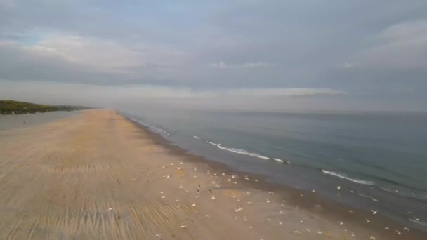 丹麦北日德兰Lkken外载有飞行海鸟的北海海岸线的空中景观 — 图库视频影像