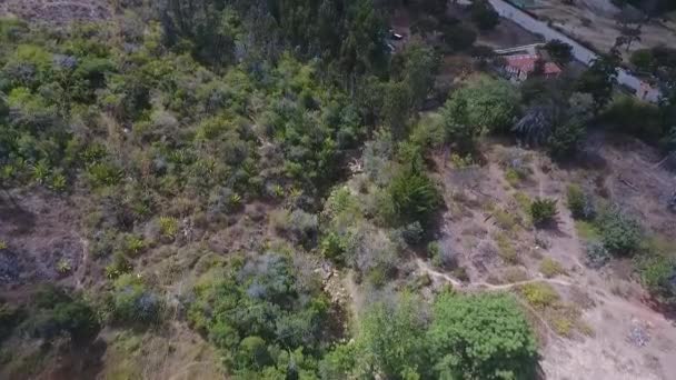 Drone Tour Forest Landscape Colombia — ストック動画