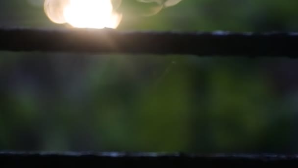Sol Noite Embaçado Através Das Treliças Janela Casa — Vídeo de Stock