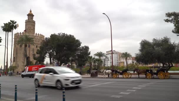 Utcai Kilátás Felé Híres Torre Del Oro Sevillában Spanyolország Autós — Stock videók