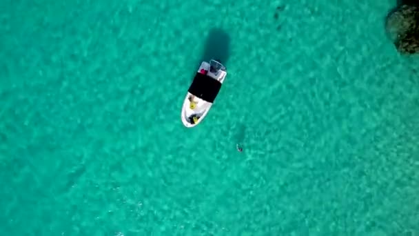 Speed Boat Tropical Blue Jamaica Water Woman Swimming — Video Stock