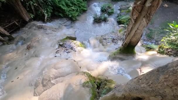 Turista Affacciato Namtok Bua Tong Sticky Waterfall Nel Nord Della — Video Stock