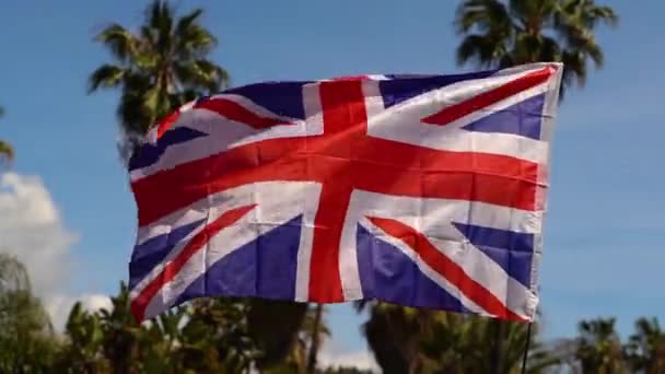 British Flag Waving Wind Palm Trees Background — Video