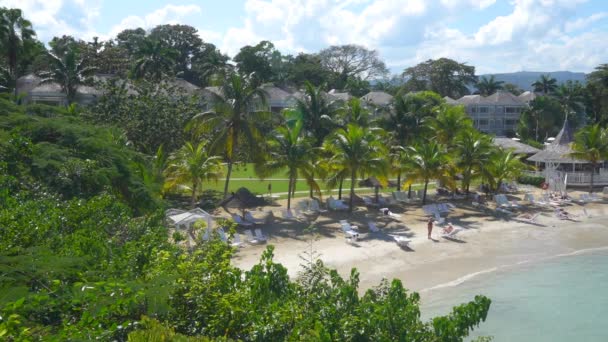 Strand Karibiska Resort Med Palmer Och Solstolar — Stockvideo
