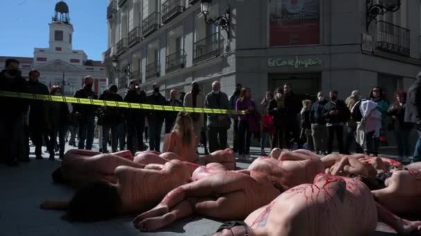 Pro Animal Rights Group Animanaturalis Activists Lay Ground Naked Covered — Vídeo de Stock